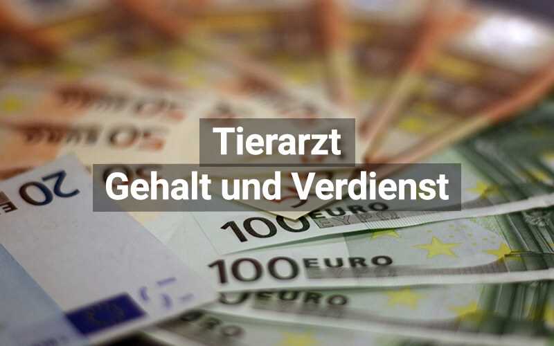 undefinedAusbildung und Spezialisierung</strong>„></p>
<p>Um Tierarzt zu werden, ist eine umfangreiche Ausbildung erforderlich. Nach dem Abschluss eines Bachelorstudiums der Tiermedizin müssen angehende Tierärzte eine mehrjährige praktische Ausbildung absolvieren und eine staatliche Prüfung ablegen. Nach Abschluss der Ausbildung können Tierärzte sich auf bestimmte Tierarten oder Fachgebiete spezialisieren, wie z.B. Chirurgie, Innere Medizin oder Dermatologie.</p>
<h3><strong>Herausforderungen und Belohnungen</strong></h3>
<p>Der Beruf des Tierarztes kann sowohl Herausforderungen als auch Belohnungen mit sich bringen. Die Arbeit mit kranken Tieren kann emotional belastend sein, aber die Möglichkeit, Tieren zu helfen und ihr Wohlergehen zu verbessern, kann auch sehr erfüllend sein. Tierärzte müssen oft unter Druck arbeiten und schnelle Entscheidungen treffen, um das Leben der Tiere zu retten. Sie müssen auch über gute Kommunikationsfähigkeiten verfügen, um mit den Tierbesitzern zu interagieren und ihnen die richtige Behandlung für ihre Tiere zu erklären.</p>
<p>Insgesamt bietet der Beruf des Tierarztes eine Fülle von Möglichkeiten und Herausforderungen. Es ist ein Beruf, der sowohl Leidenschaft für Tiere als auch medizinisches Wissen erfordert. Die Vielseitigkeit dieses Berufs macht ihn zu einer attraktiven Option für diejenigen, die gerne mit Tieren arbeiten und ihnen helfen möchten.</p>
<h2>Fazit</h2>
<p><img decoding=