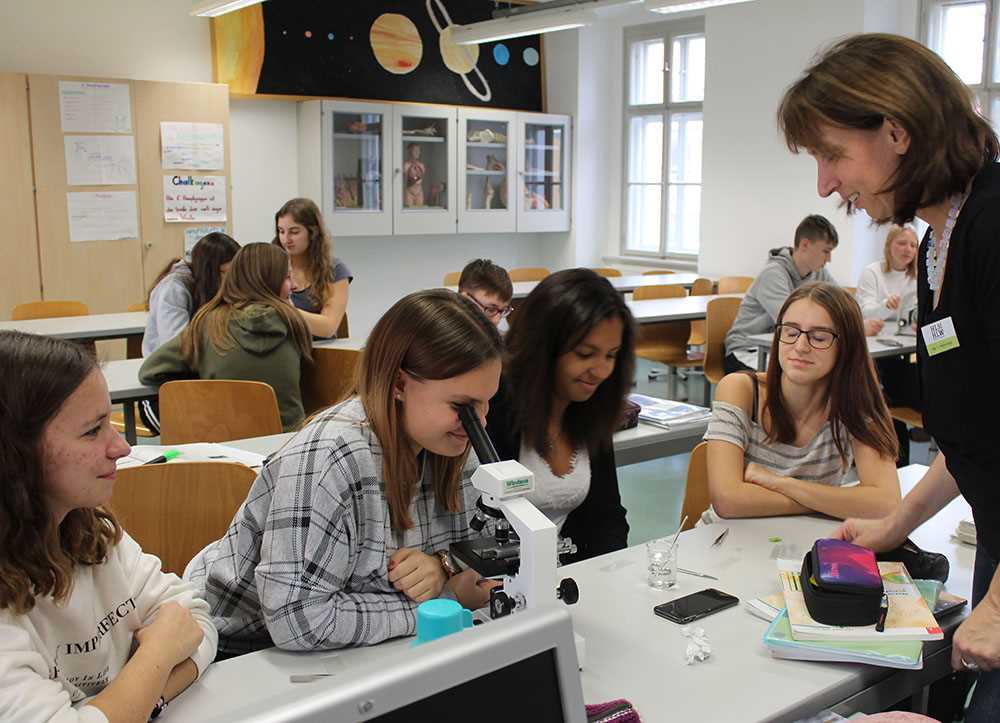 Schulen Krems - Eine umfassende Übersicht