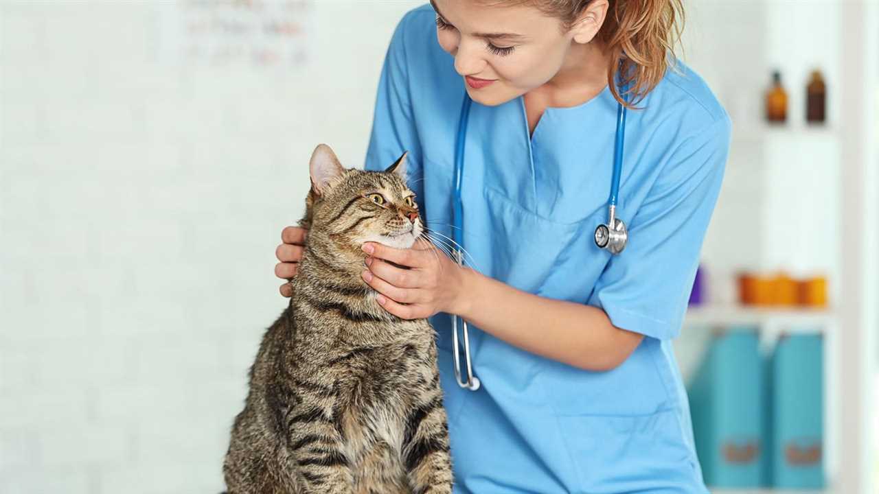 Voraussetzungen für das Studium zum Tierarzt in Österreich