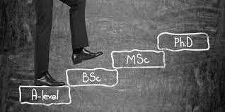 Studiengänge und Hochschulen