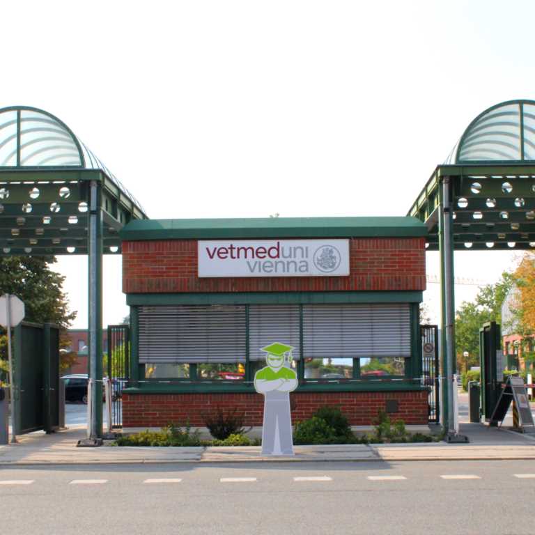 Erfahrungsbericht Teil 1: Anmeldung und Organisation