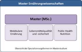 Studiengänge und Universitäten in Wien
