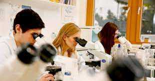 Mikrobiologische Untersuchungen und Infektionskrankheiten