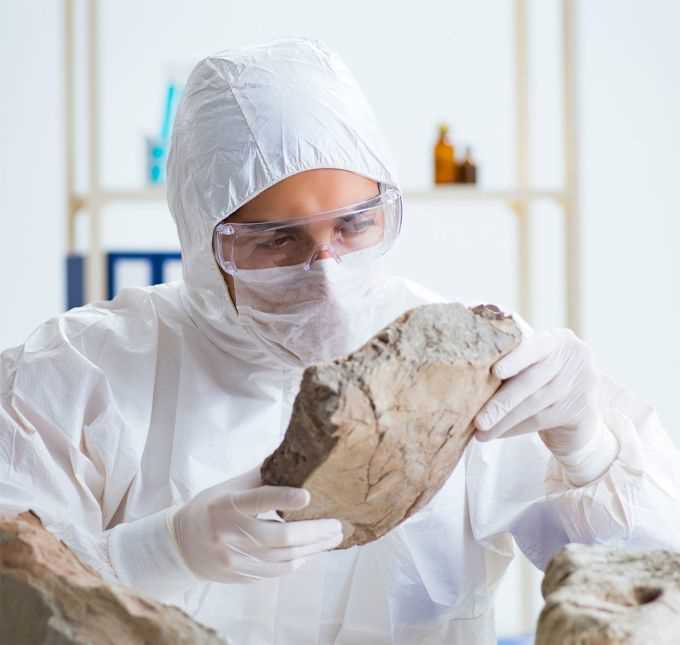 Die Geschichte der Archäologie