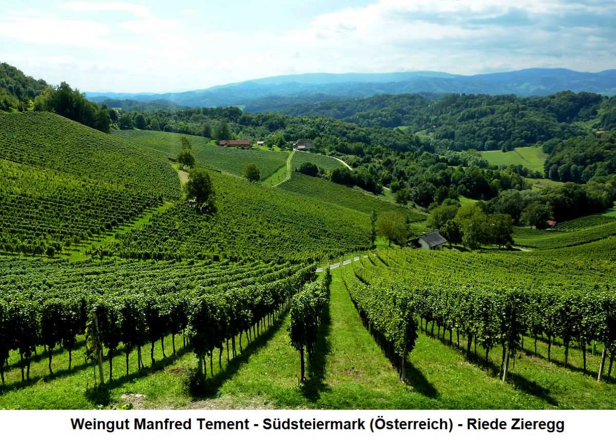 Weintradition in Österreich